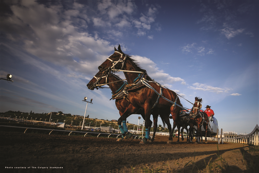 Cowboys Rangeland Derby Wooden Puzzle