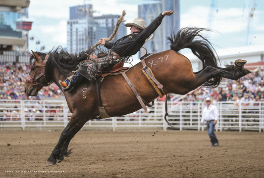 Saddle Bronc Wooden Puzzle