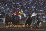 Chuckwagon Race