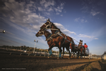 Cowboys Rangeland Derby Wooden Puzzle