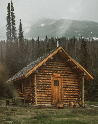 Cabin In The Woods