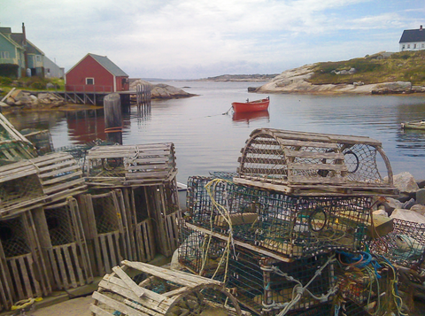 Lobster Traps